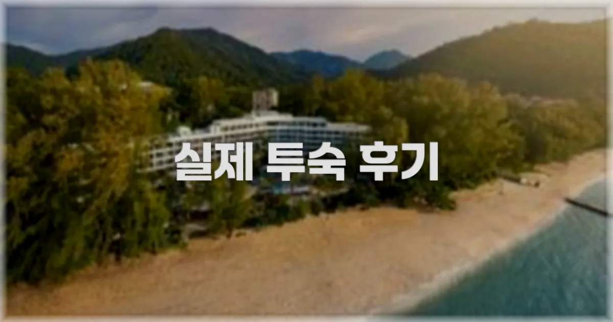 💬 실제 투숙 후기
