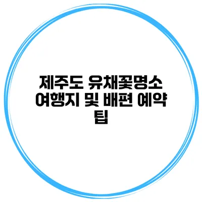 제주도 유채꽃명소 여행지 및 배편 예약 팁