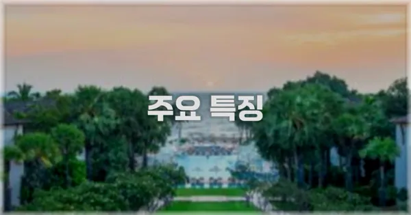 ✨ 주요 특징