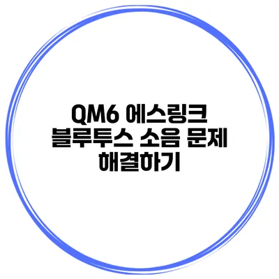 QM6 에스링크 블루투스 소음 문제 해결하기