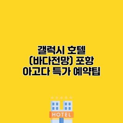 갤럭시 호텔 (바다전망) 포항 아고다 특가 예약팁