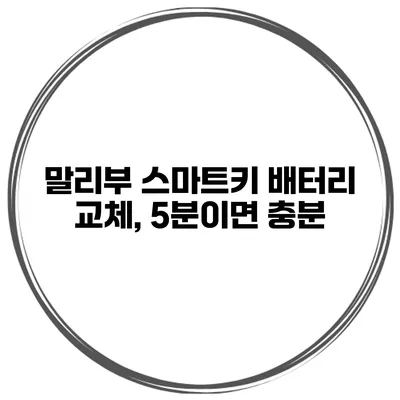 말리부 스마트키 배터리 교체, 5분이면 충분