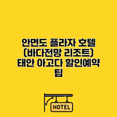 안면도 플라자 호텔 (바다전망 리조트) 태안 아고다 할인예약 팁