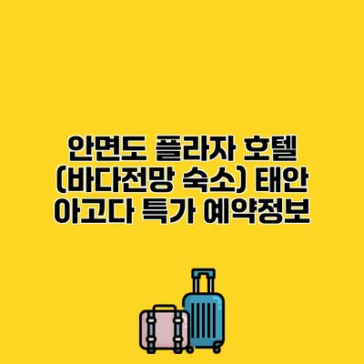 안면도 플라자 호텔 (바다전망 숙소) 태안 아고다 특가 예약정보