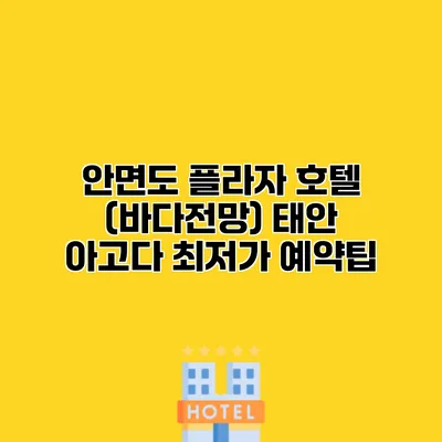 안면도 플라자 호텔 (바다전망) 태안 아고다 최저가 예약팁