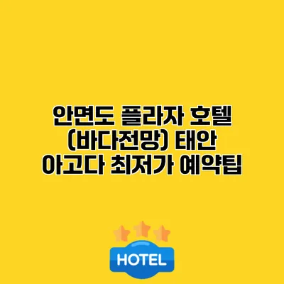 안면도 플라자 호텔 (바다전망) 태안 아고다 최저가 예약팁