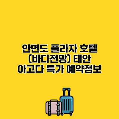 안면도 플라자 호텔 (바다전망) 태안 아고다 특가 예약정보