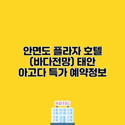 안면도 플라자 호텔 (바다전망) 태안 아고다 특가 예약정보