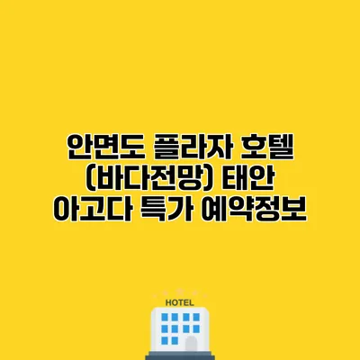 안면도 플라자 호텔 (바다전망) 태안 아고다 특가 예약정보