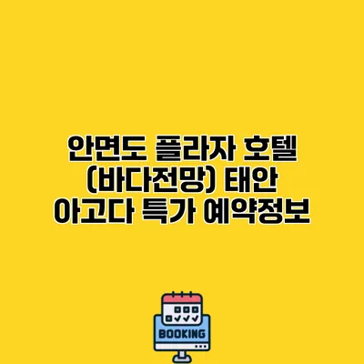 안면도 플라자 호텔 (바다전망) 태안 아고다 특가 예약정보