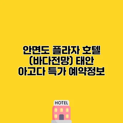 안면도 플라자 호텔 (바다전망) 태안 아고다 특가 예약정보
