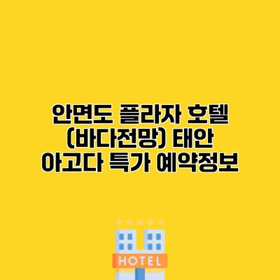 안면도 플라자 호텔 (바다전망) 태안 아고다 특가 예약정보