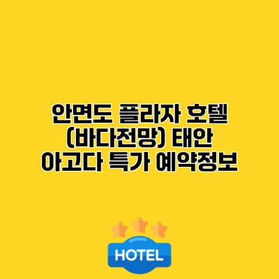 안면도 플라자 호텔 (바다전망) 태안 아고다 특가 예약정보