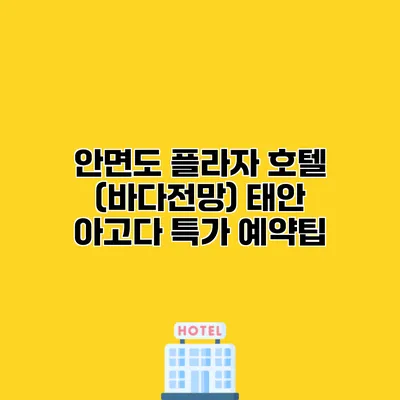 안면도 플라자 호텔 (바다전망) 태안 아고다 특가 예약팁