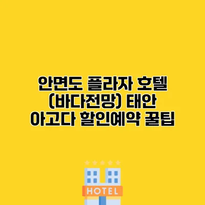 안면도 플라자 호텔 (바다전망) 태안 아고다 할인예약 꿀팁