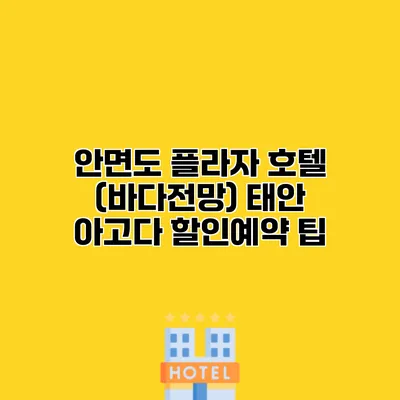 안면도 플라자 호텔 (바다전망) 태안 아고다 할인예약 팁