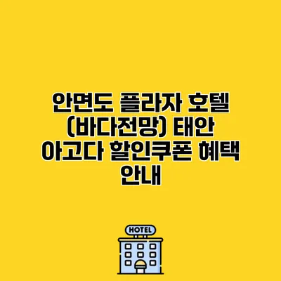 안면도 플라자 호텔 (바다전망) 태안 아고다 할인쿠폰 혜택 안내