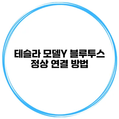 테슬라 모델Y 블루투스 정상 연결 방법