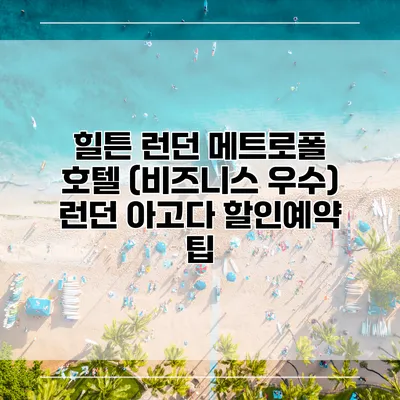 힐튼 런던 메트로폴 호텔 (비즈니스 우수) 런던 아고다 할인예약 팁
